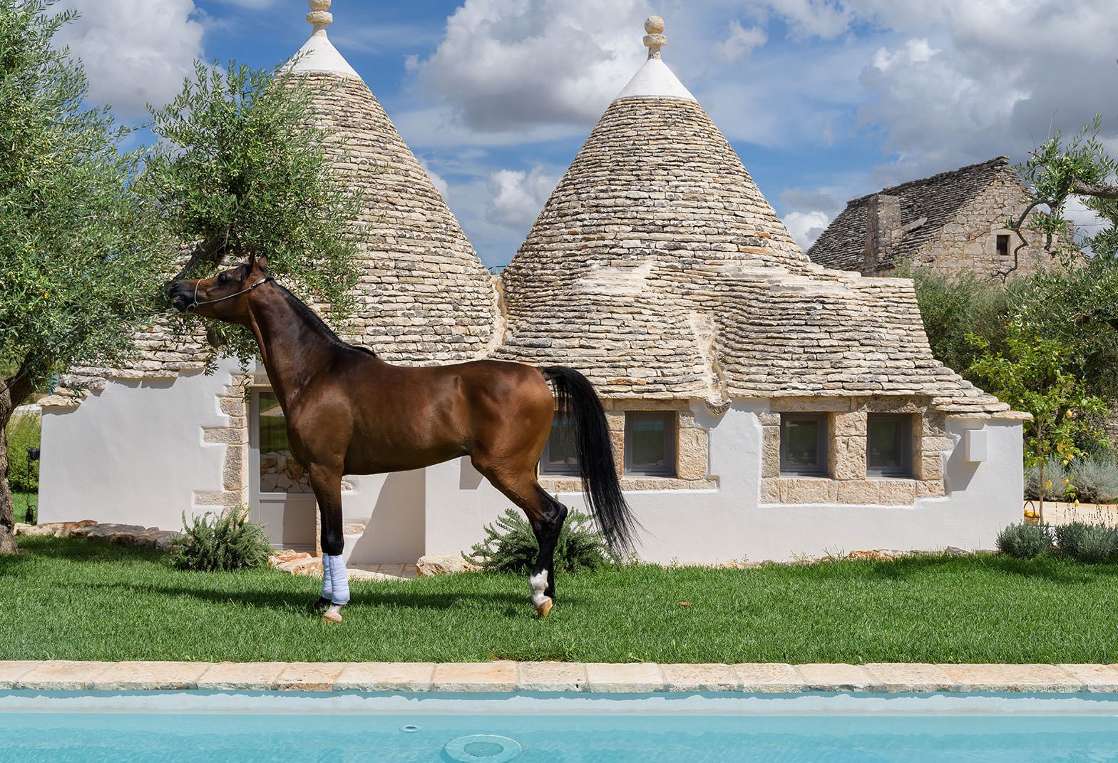 Lifestyle Trullo Atena Case di Fiaba lusso villa cavallo puglia natura